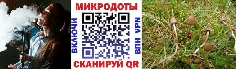 Купить где  Саянск  Галлюциногенные грибы прущие грибы 